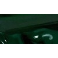 Farba akrylowa PHOENIX 100ml - 512 HOOKERS GREEN DEEP