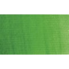 Farba plakatowa Tempera 500ml - 568 SAP GREEN