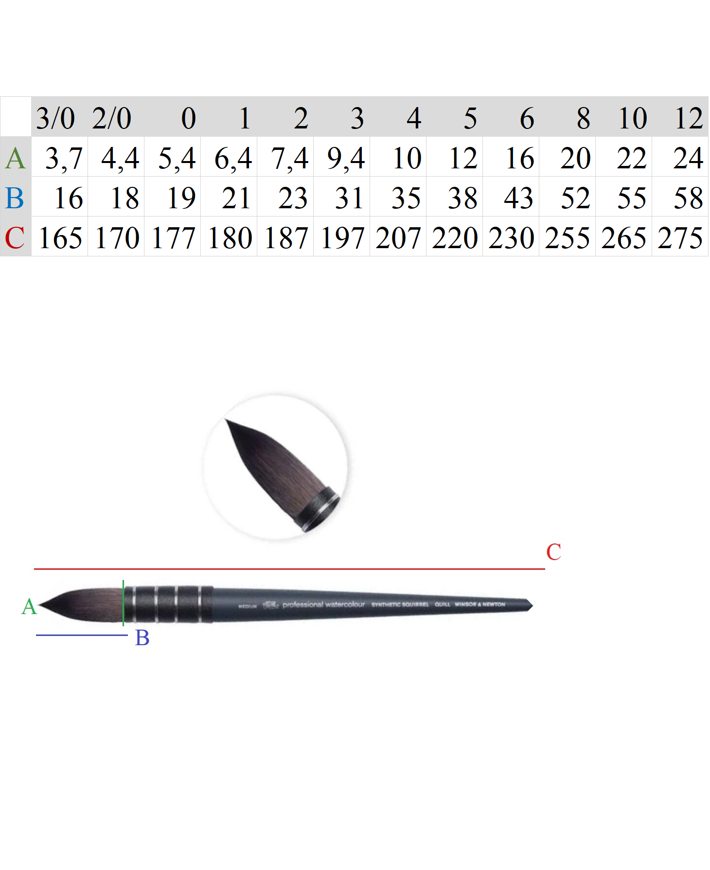 Winsor & Newton PRO SQUIRREL nr 1 - PĘDZEL DO AKWARELI IMITACJA WIEWIÓRKI