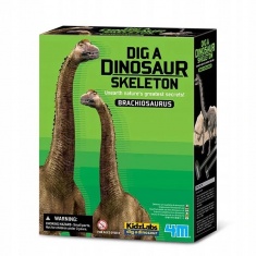 Wykopaliska -  Dino szkielety - BRACHIOZAUR